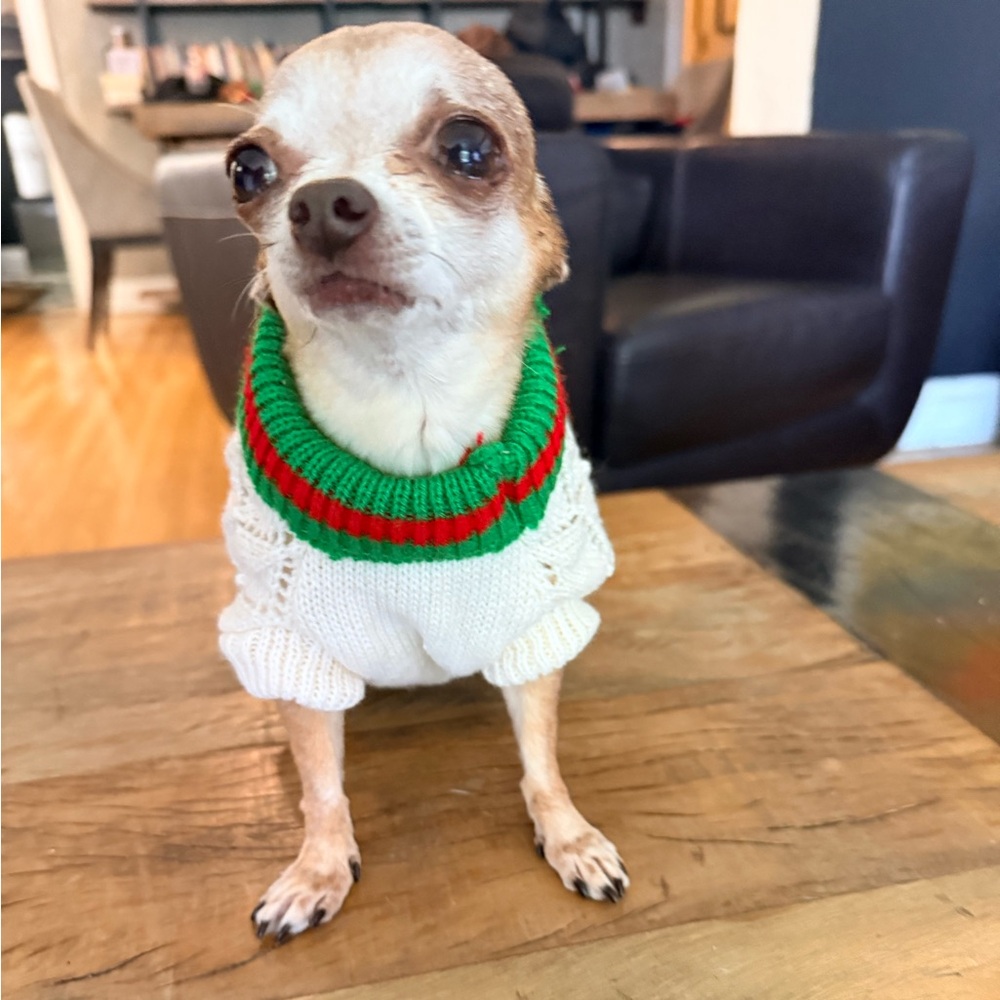 ❤️ Cozy White Dog Sweater with Green and Red Accents 💚